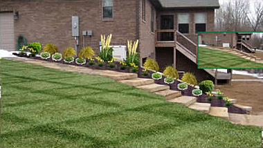 Landscaping Design