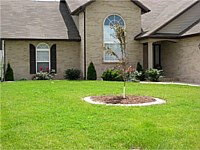 Landscaping Photo Gallery