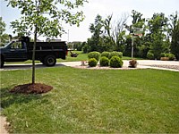 Landscaping Photo Gallery